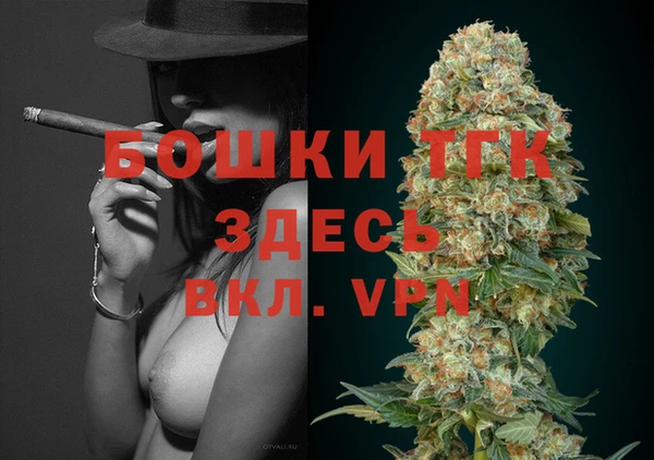 молекула духа Алексин