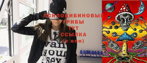 молекула духа Алексеевка