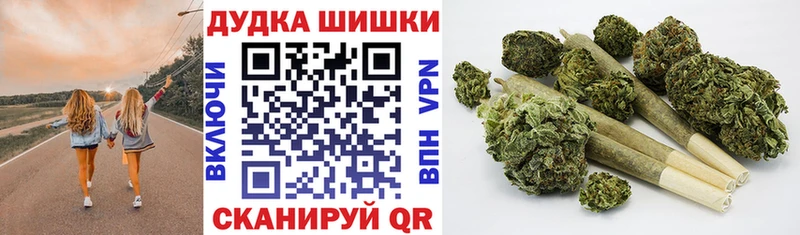 Шишки марихуана планчик  Киселёвск 